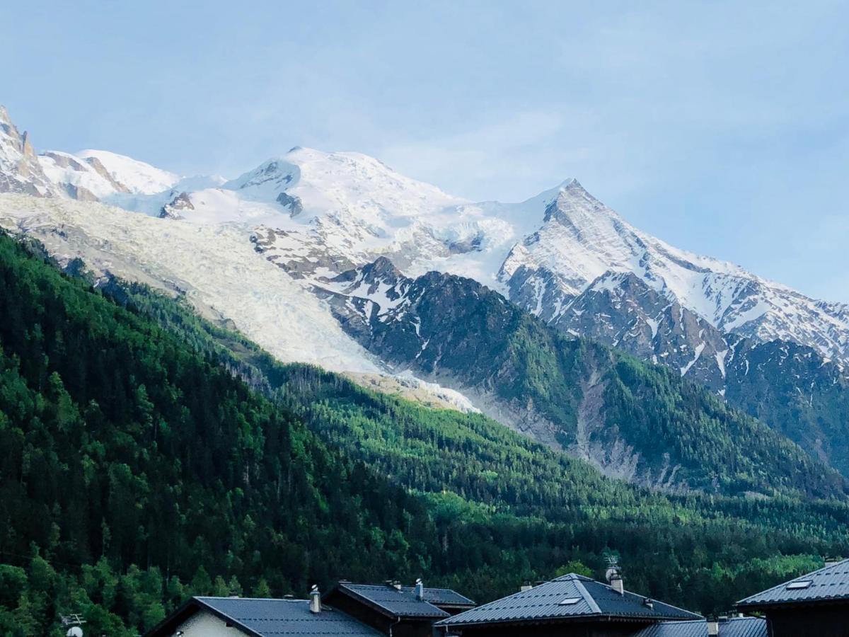 Apartmán Mont Blanc 43, Vue Mont Blanc , Balcon, Parking Chamonix Exteriér fotografie