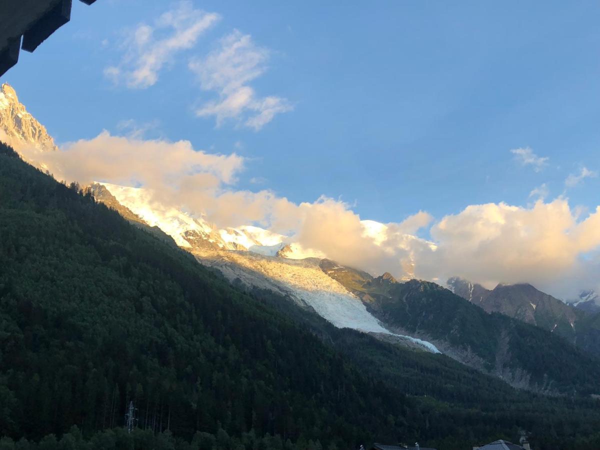 Apartmán Mont Blanc 43, Vue Mont Blanc , Balcon, Parking Chamonix Exteriér fotografie