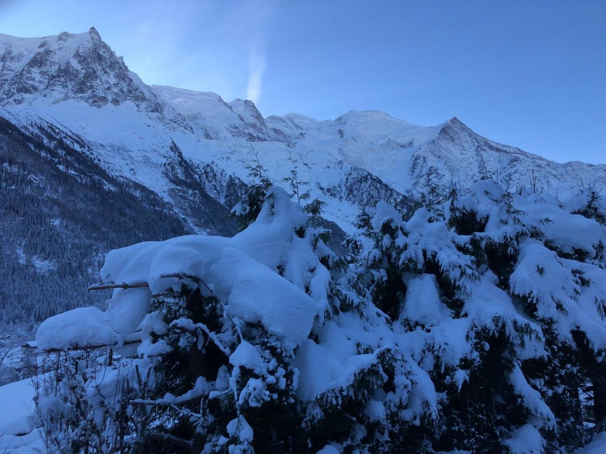 Apartmán Mont Blanc 43, Vue Mont Blanc , Balcon, Parking Chamonix Exteriér fotografie