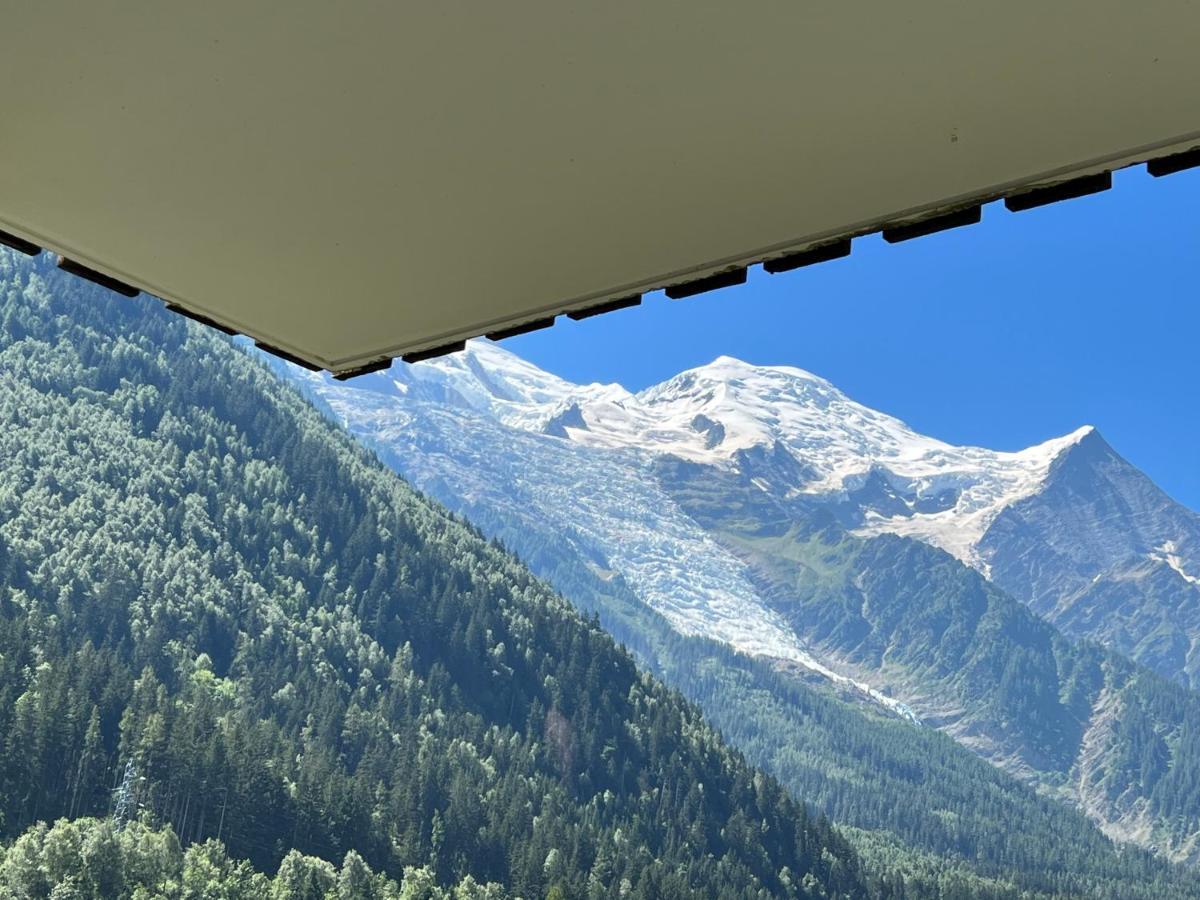Apartmán Mont Blanc 43, Vue Mont Blanc , Balcon, Parking Chamonix Exteriér fotografie