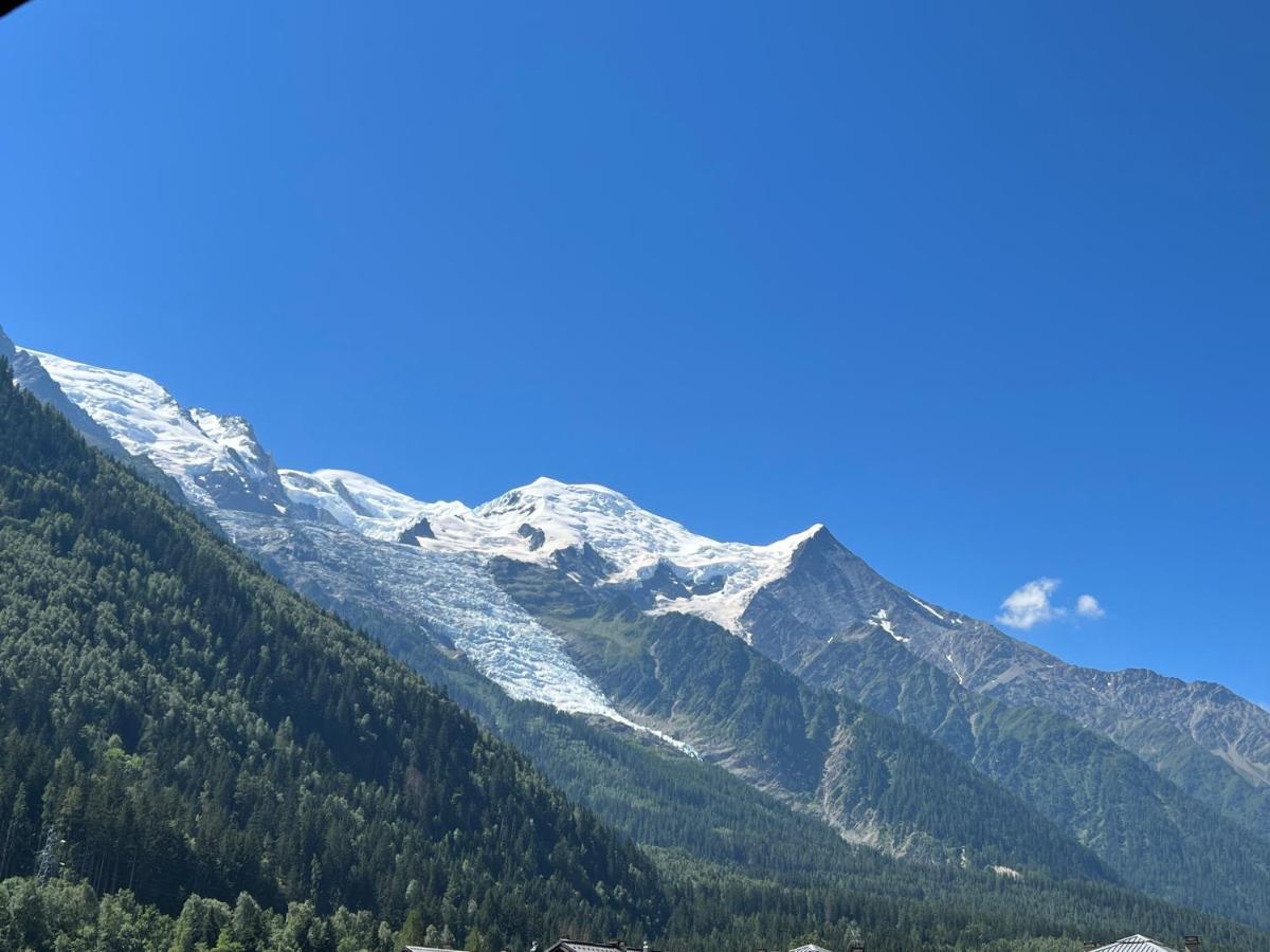 Apartmán Mont Blanc 43, Vue Mont Blanc , Balcon, Parking Chamonix Exteriér fotografie